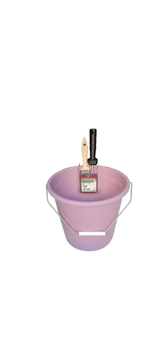 Le Pratiq Brosse - D70 – vue 4